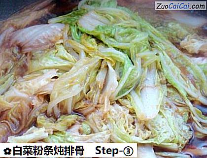 白菜粉条炖排骨做法第三步骤