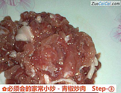 必须会的家常小炒-青椒炒肉做法第三步骤