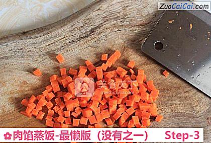 肉馅蒸饭-最懒版做法第三步骤