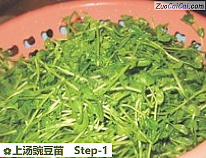 上汤豌豆苗做法第一步骤