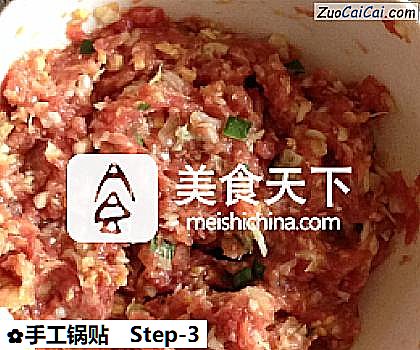 手工锅贴做法第三步骤