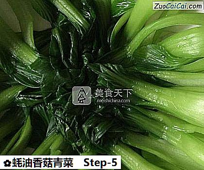 蚝油香菇青菜做法第五步骤