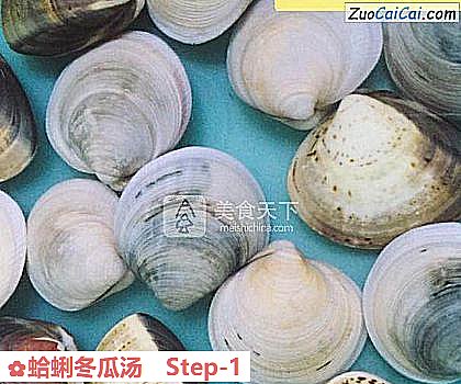 蛤蜊冬瓜汤做法第一步骤