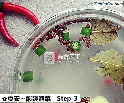 夏安~酸爽泡菜做法第三步骤