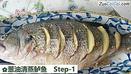葱油清蒸鲈鱼做法第一步骤