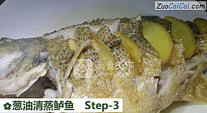 葱油清蒸鲈鱼做法第三步骤
