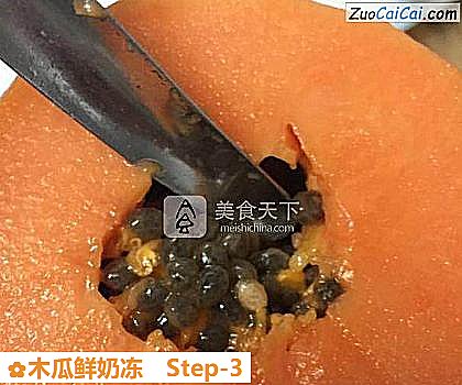 木瓜鲜奶冻做法第三步骤