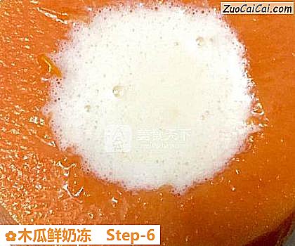 木瓜鲜奶冻做法第六步骤