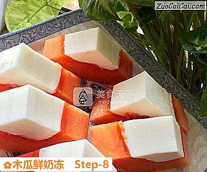 木瓜鲜奶冻做法第八步骤
