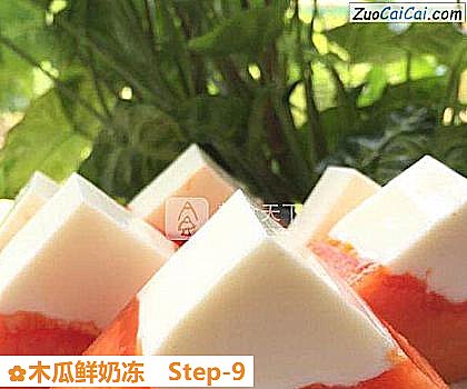 木瓜鲜奶冻做法第九步骤