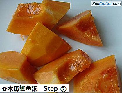 木瓜鲫鱼汤做法第二步骤
