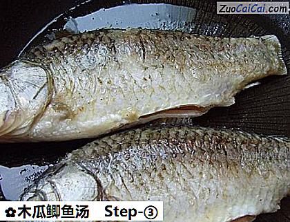 木瓜鲫鱼汤做法第三步骤