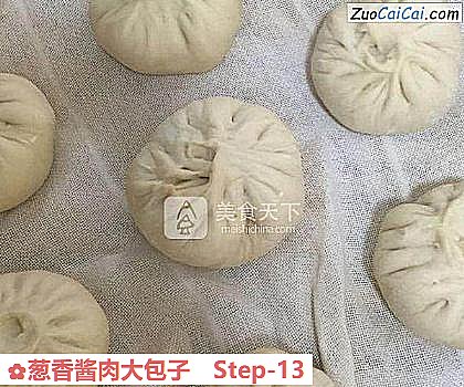 葱香酱肉大包子做法第十三步骤