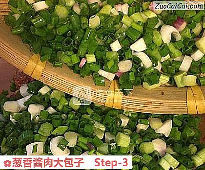 葱香酱肉大包子做法第三步骤