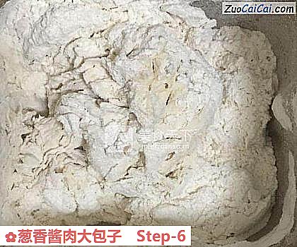 葱香酱肉大包子做法第六步骤