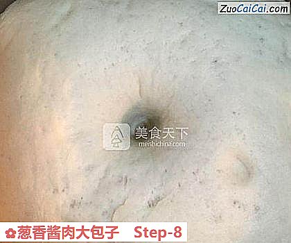 葱香酱肉大包子做法第八步骤
