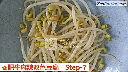 肥牛麻辣双色豆腐做法第七步骤