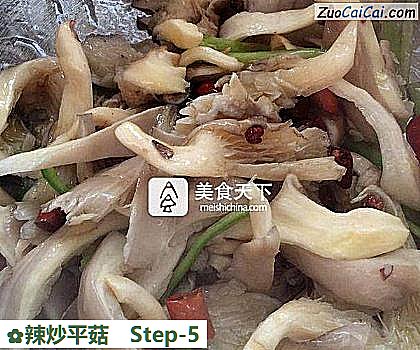 辣炒平菇做法第五步骤