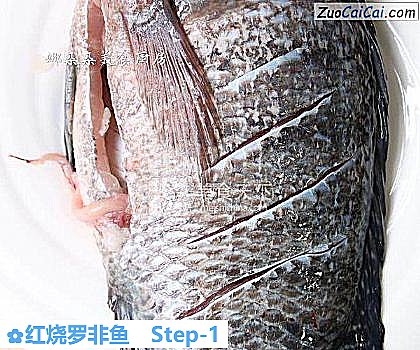 红烧罗非鱼做法第一步骤