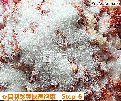 自制酸爽快速泡菜做法第六步骤