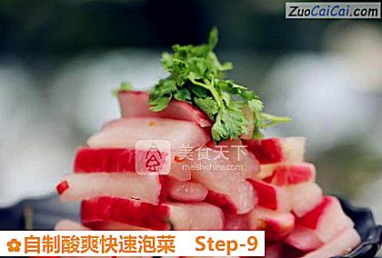 自制酸爽快速泡菜做法第九步骤