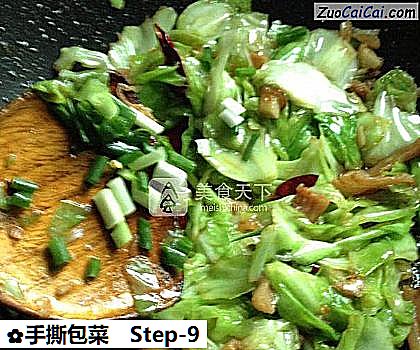 手撕包菜做法第九步骤