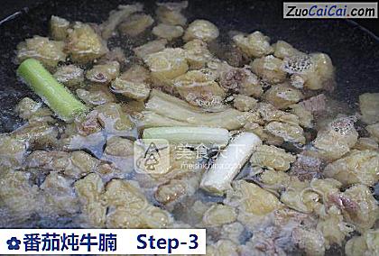 番茄炖牛腩做法第三步骤