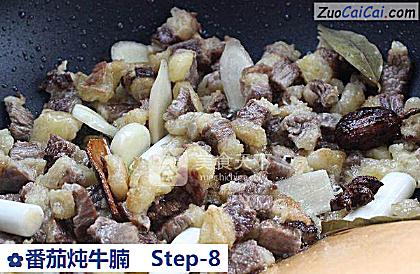 番茄炖牛腩做法第八步骤