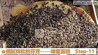 -蜂蜜蛋糕做法第十一步骤