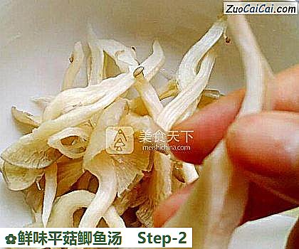 鲜味平菇鲫鱼汤做法第二步骤