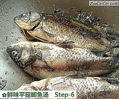 鲜味平菇鲫鱼汤做法第六步骤