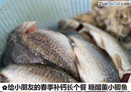 给小朋友的春季补钙长个餐糖醋薰小鲫鱼做法第一步骤