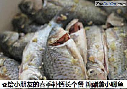 给小朋友的春季补钙长个餐糖醋薰小鲫鱼做法第二步骤