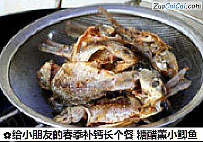 给小朋友的春季补钙长个餐糖醋薰小鲫鱼做法第六步骤
