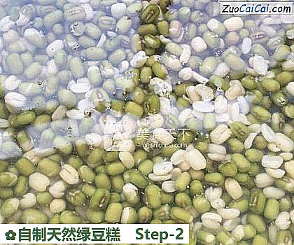 自制天然绿豆糕做法第二步骤