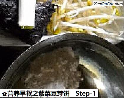 营养早餐之紫菜豆芽饼做法第一步骤