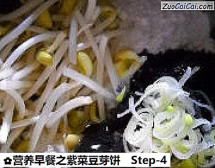 营养早餐之紫菜豆芽饼做法第四步骤