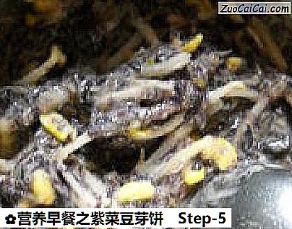 营养早餐之紫菜豆芽饼做法第五步骤