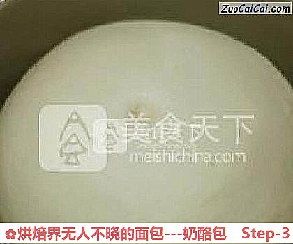 烘焙界无人不晓的面包做法第三步骤