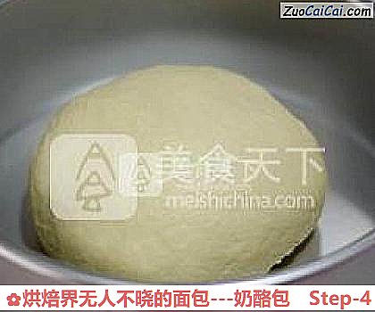 烘焙界无人不晓的面包做法第四步骤