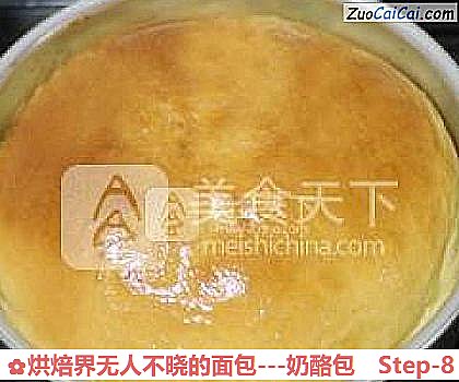 烘焙界无人不晓的面包做法第八步骤