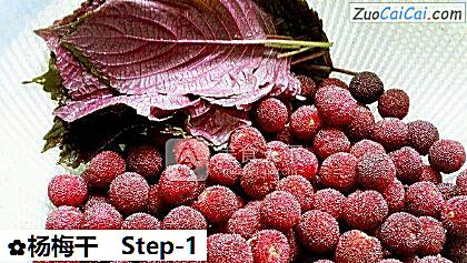 杨梅干做法第一步骤