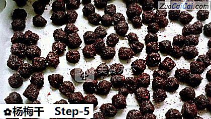 杨梅干做法第五步骤