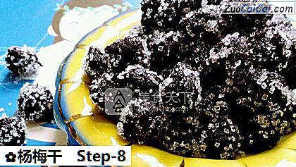 杨梅干做法第八步骤