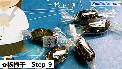 杨梅干做法第九步骤
