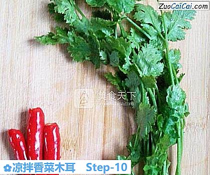 凉拌香菜木耳做法第十步骤