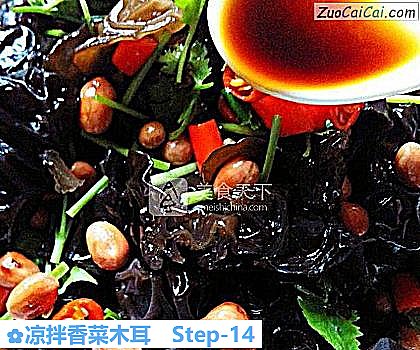 凉拌香菜木耳做法第十四步骤