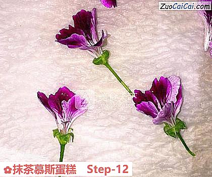 抹茶慕斯蛋糕做法第十二步骤