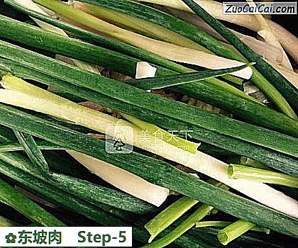 东坡肉做法第五步骤