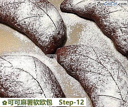 可可麻薯软欧包做法第十二步骤